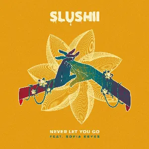 Pochette de Never Let You Go de Slushii