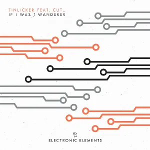 Pochette de If I Was / Wanderer de Tinlicker