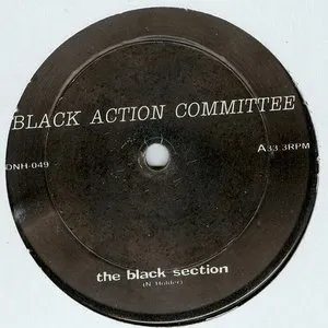 Pochette de Black Action Committee de Nick Holder