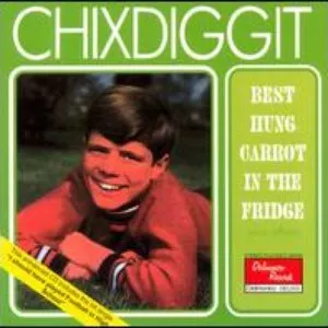 Pochette de Best Hung Carrot in the Fridge de Chixdiggit!