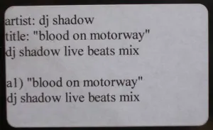 Pochette Blood on the Motorway (DJ Shadow live Beats mix)