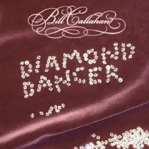 Pochette de Diamond Dancer de Bill Callahan
