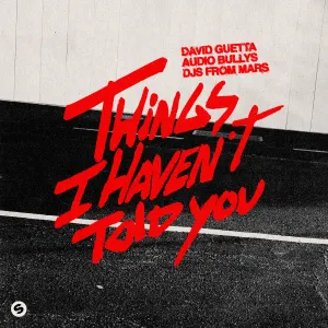 Pochette de Things I Haven’t Told You de David Guetta - Audio Bullys