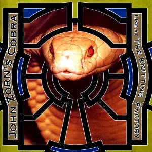 Pochette de John Zorn's Cobra: Live at the Knitting Factory de John Zorn