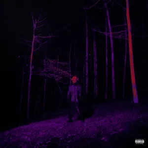 Pochette de If Looks Could Kill de Destroy Lonely