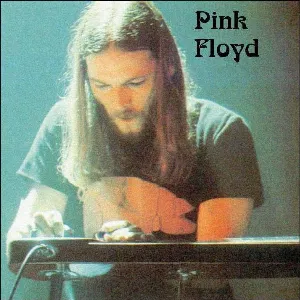 Pochette de Dragged Down by the Stone de Pink Floyd
