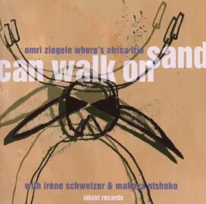 Pochette de Can Walk on Sand de Irène Schweizer