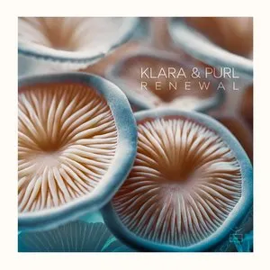 Pochette de Renewal de Purl