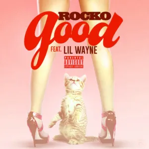 Pochette de Good de Rocko