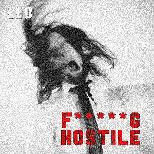 Pochette de F*****g Hostile (Alternative Version) de Leo Moracchioli