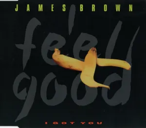 Pochette de I Got You de James Brown