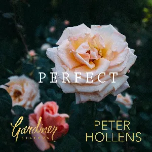Pochette de Perfect de Peter Hollens