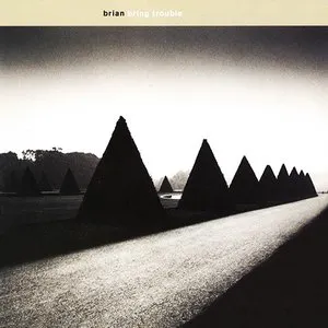 Pochette de Bring Trouble de Brian