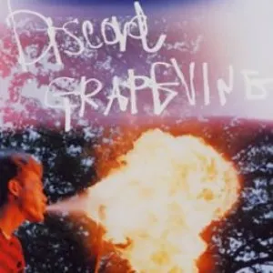 Pochette de discord de GRAPEVINE