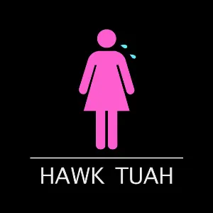 Pochette de Hawk Tuah de Conor Maynard