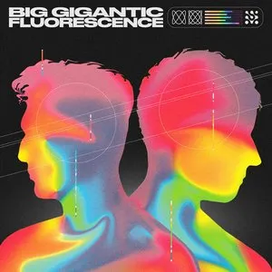 Pochette de Fluorescence de Big Gigantic