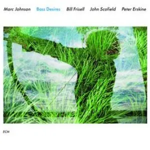 Pochette de Bass Desires de Marc Johnson