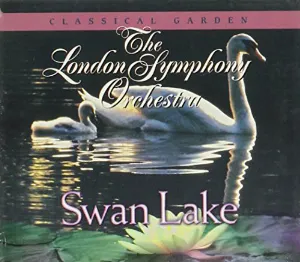 Pochette Swan Lake