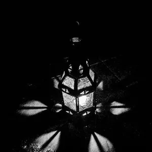 Pochette de Wasted Songs and Instrumentals de Areal Kollen