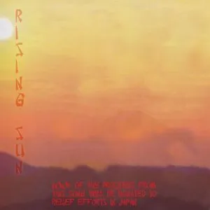 Pochette The Rising Sun