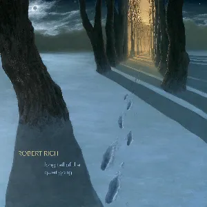 Pochette de Long Tail of the Quiet Gong de Robert Rich