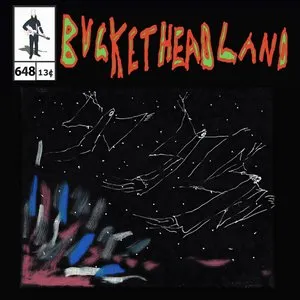 Pochette de Skywatching de Buckethead