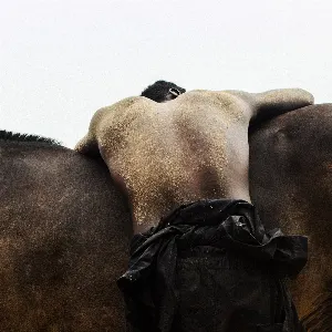 Pochette de Quarrel de Moses Sumney