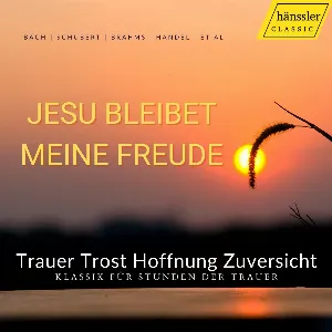 Pochette de Jesu bleibet meine Freude de Dietrich Fischer‐Dieskau - Karl Richter