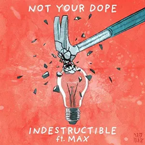 Pochette de Indestructible de MAX
