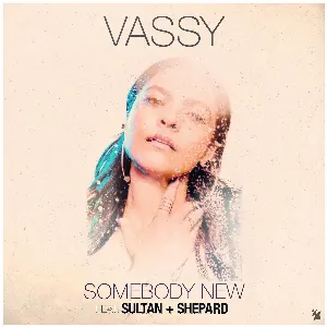 Pochette de Somebody New de Vassy
