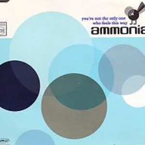 Pochette de You're Not the Only One Who Feels This Way de Ammonia