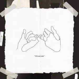 Pochette de Promise de JUNNY