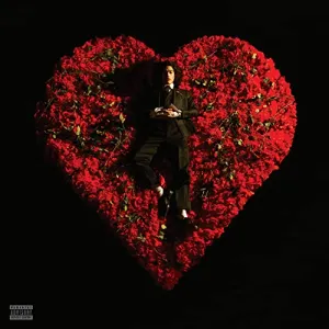Pochette de Superache de Conan Gray