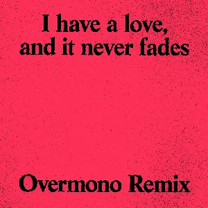 Pochette de I Have a Love (Overmono remix) de Overmono