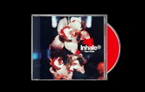 Pochette de Open Wide de Inhaler