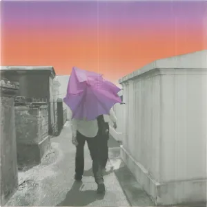 Pochette de American Interior (EP2) de Gruff Rhys