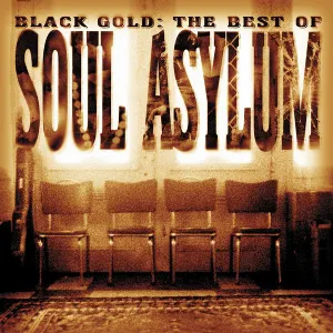 Pochette de Black Gold: The Best of Soul Asylum de Soul Asylum