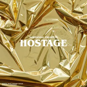 Pochette de Hostage de Normandie