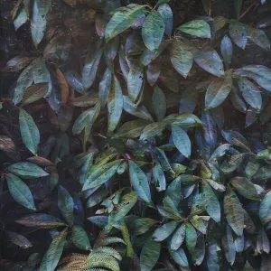 Pochette de dekay de invention_