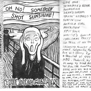 Pochette de Somebody Shot Sunshine de The Dead Milkmen