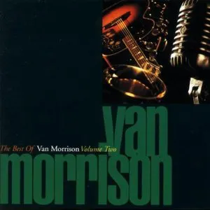 Pochette The Best of Van Morrison, Volume 2
