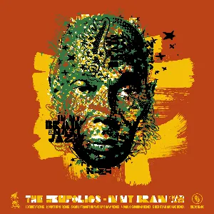 Pochette de In My Brain (remixes) de Maxi Jazz