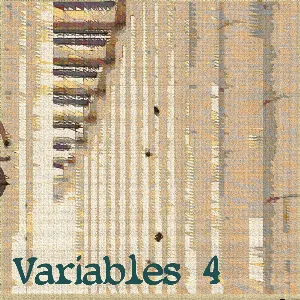 Pochette de Variables 4 de Boson Spin