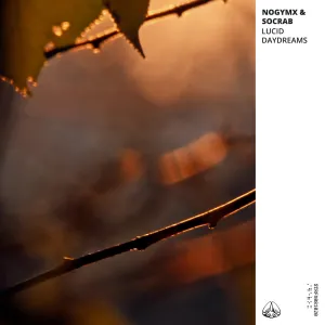 Pochette de Lucid Daydreams de NOGYMX