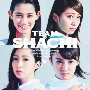 Pochette de TEAM SHACHI de TEAM SHACHI