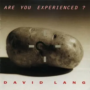 Pochette de Are You Experienced? de David Lang