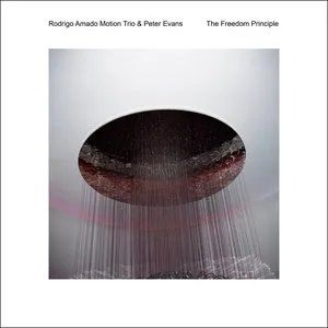 Pochette de The Freedom Principle de Peter Evans