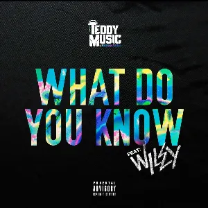 Pochette de What Do You Know de Silencer
