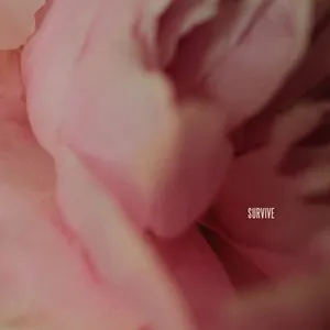 Pochette de Survive de Lewis Capaldi