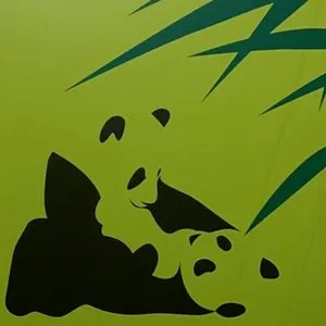 Pochette de Bon Bon (Confidence Man remix) de Fcukers